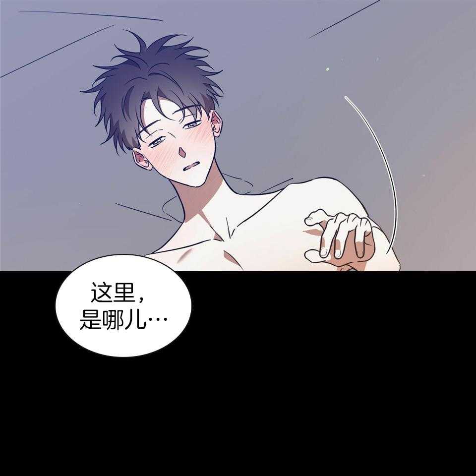 倒插门电视剧全集下载迅雷漫画,第11章：撒谎8图