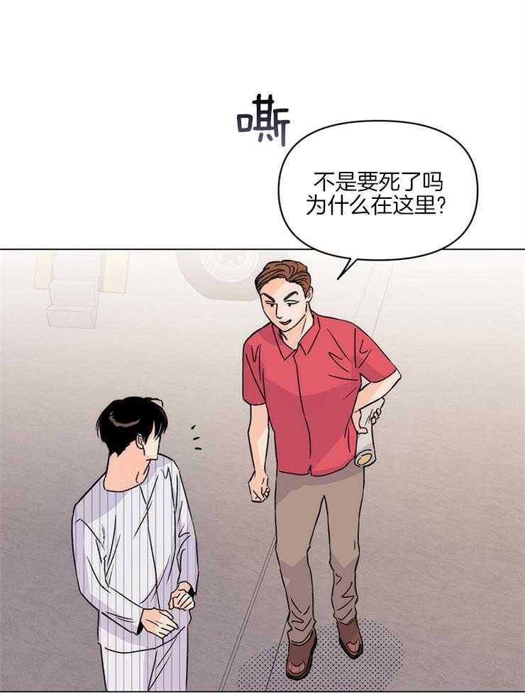 倒霉的吸血鬼漫画漫画,第26章：笨蛋一样6图