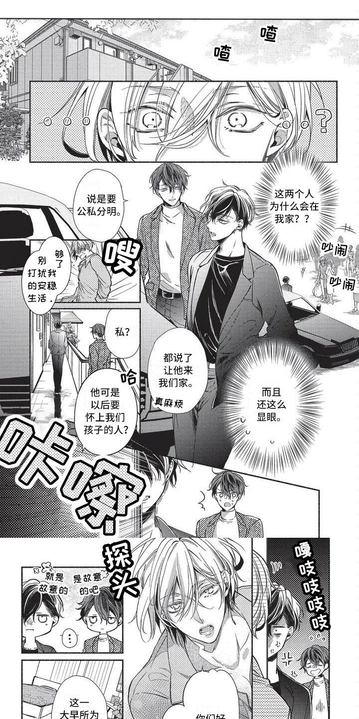 只接受完美结局漫画漫画,第3章：新秘书1图