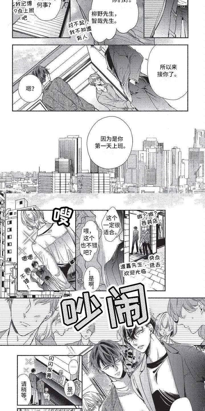 只接受完美结局漫画漫画,第3章：新秘书2图