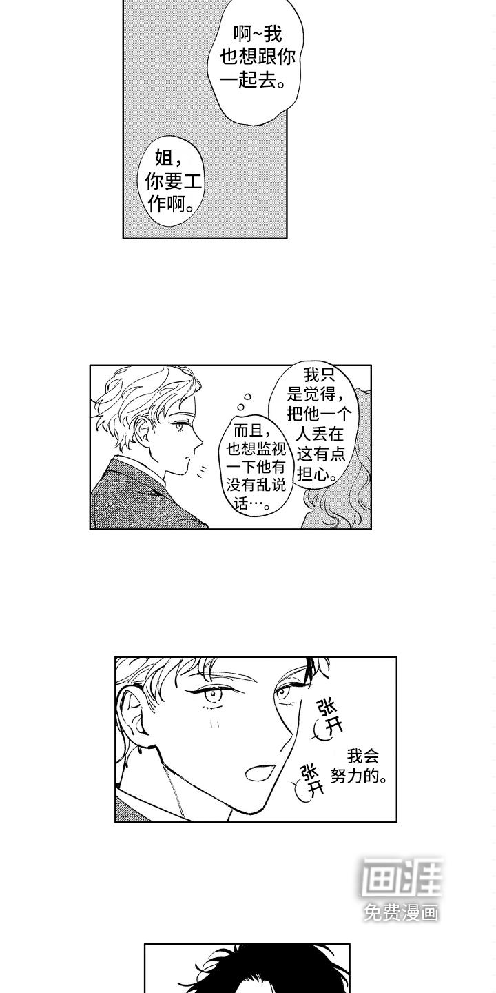 影子领域漫画免费漫画漫画,第11章：喜欢的类型3图