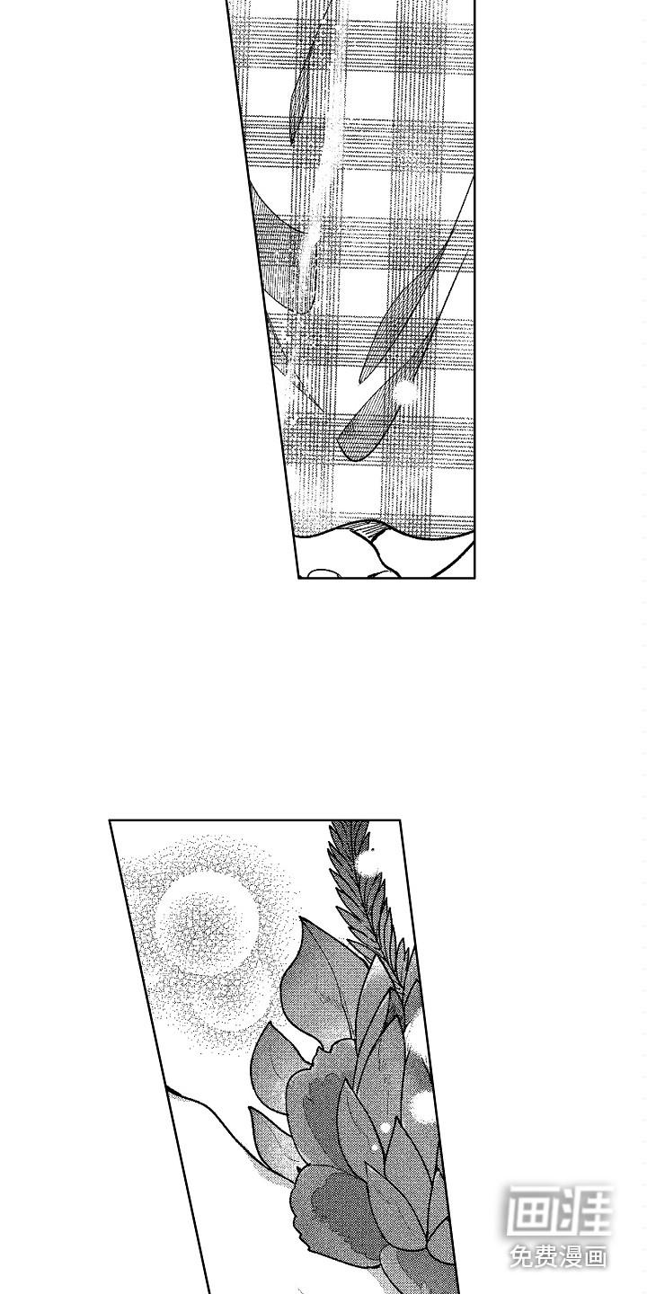 无奈的天小说最新章节漫画,第24章：整理3图