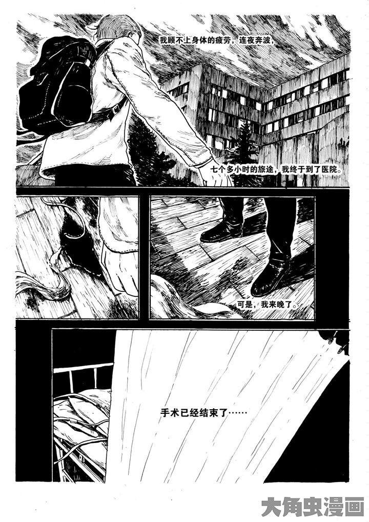 谎言的孩子漫画漫画,第3章：夜半进门2图