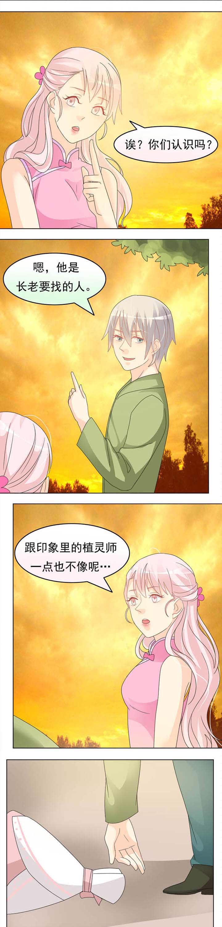 完美谎言者漫画免费15话漫画,第37章：清理3图