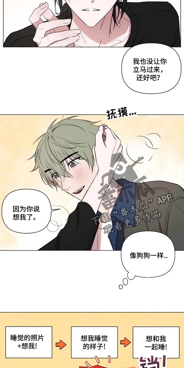 完美牙齿漫画漫画,第55章：像狗狗一样3图