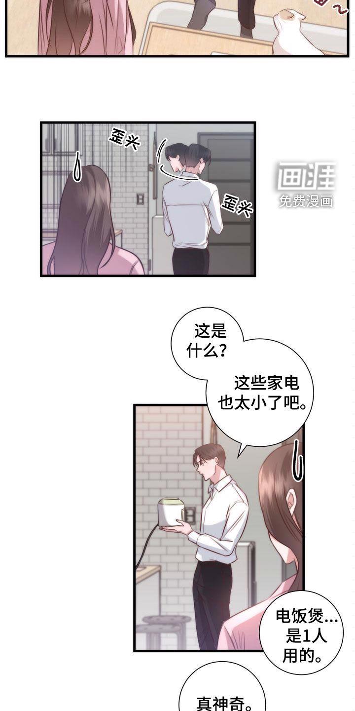 幸运信用漫画漫画,第29章：家人2图