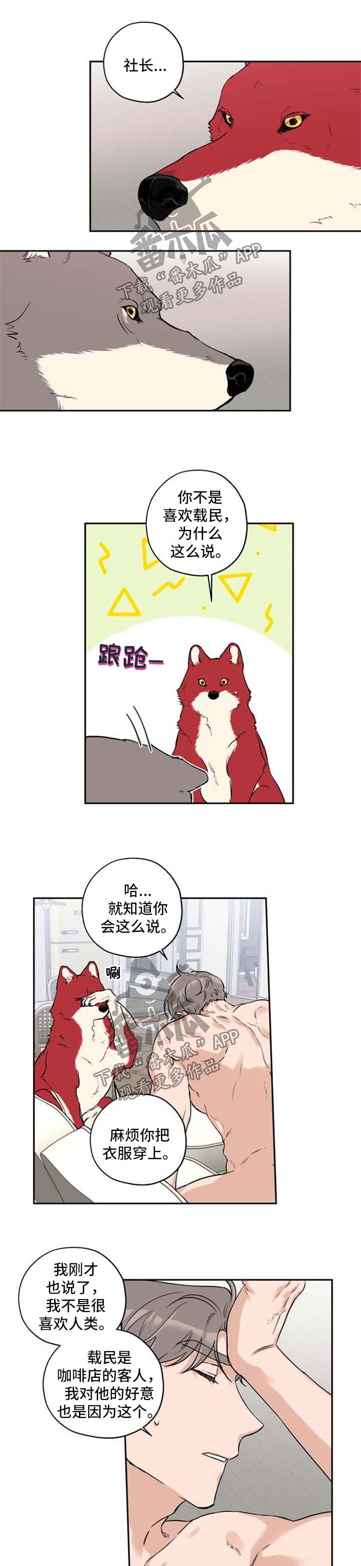 欧米伽漫画免费阅读漫画,第29章：你知道的2图