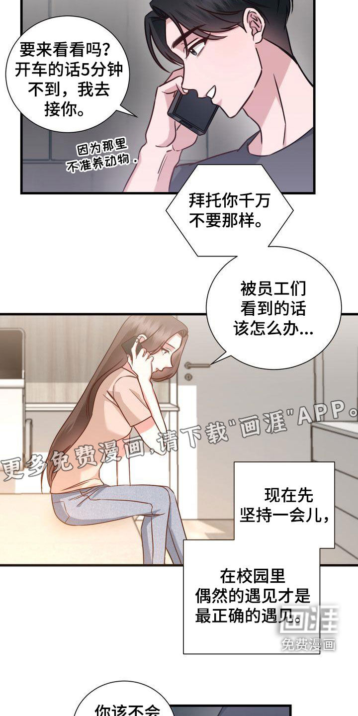信誉漫画漫画,第22章：传开了2图