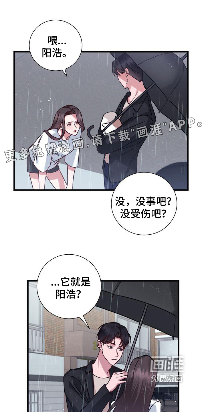 幸运信用漫画漫画,第18章：提议3图