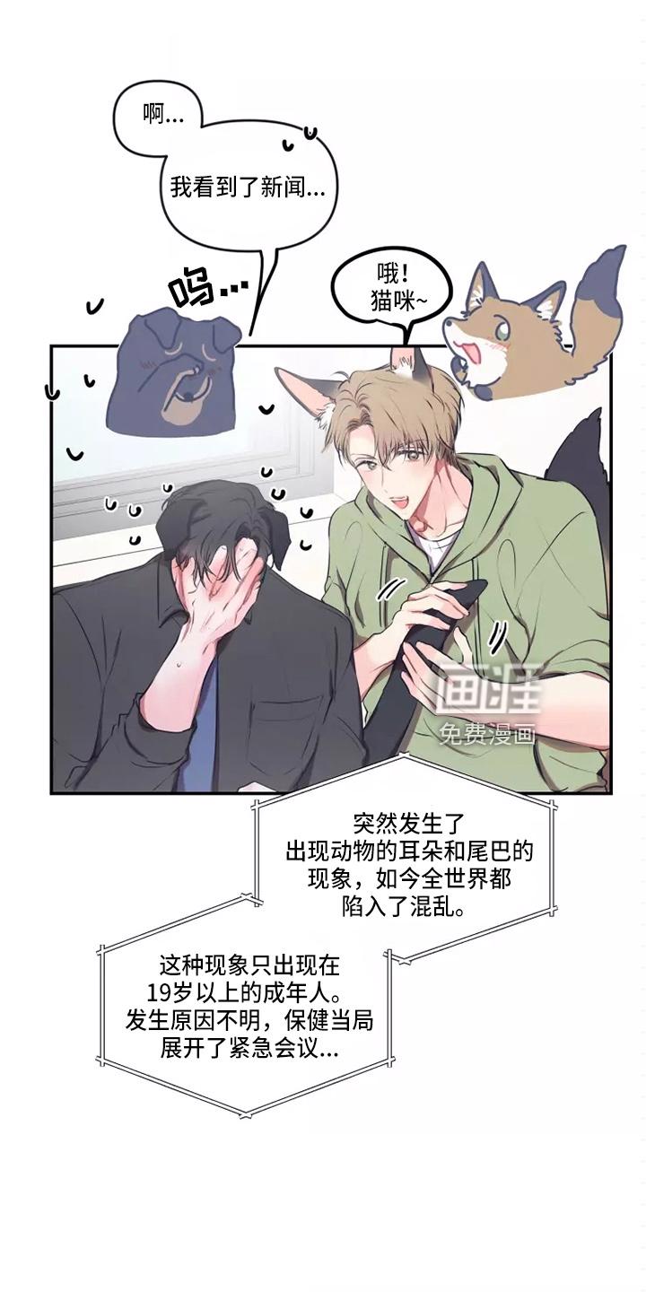 绝望列车漫画第一季免费看漫画,第163章：合格2图