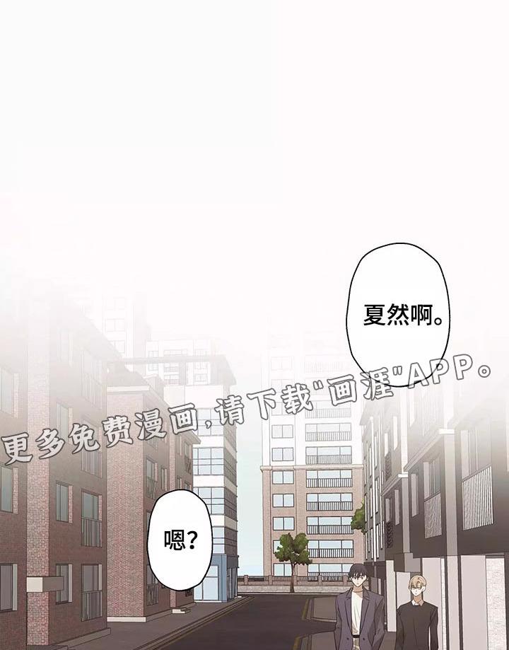 漫画极道之交漫画,第57章：理解2图