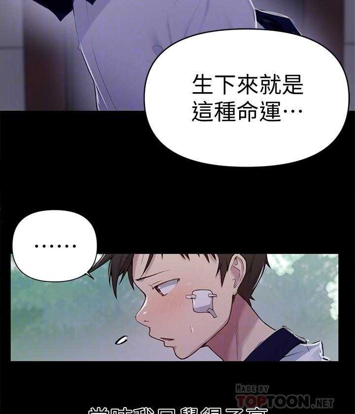 真假社长漫画漫画,第133章：相关事宜6图