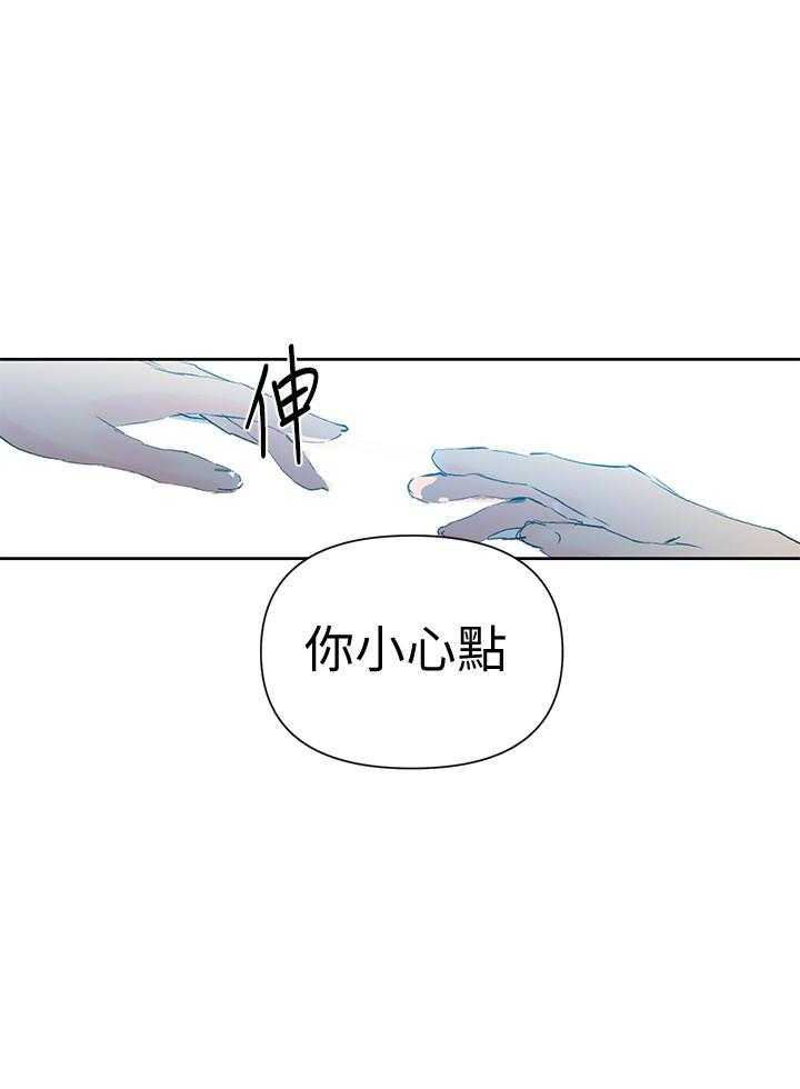 真假社长漫画漫画,第162章：肚子饿了5图