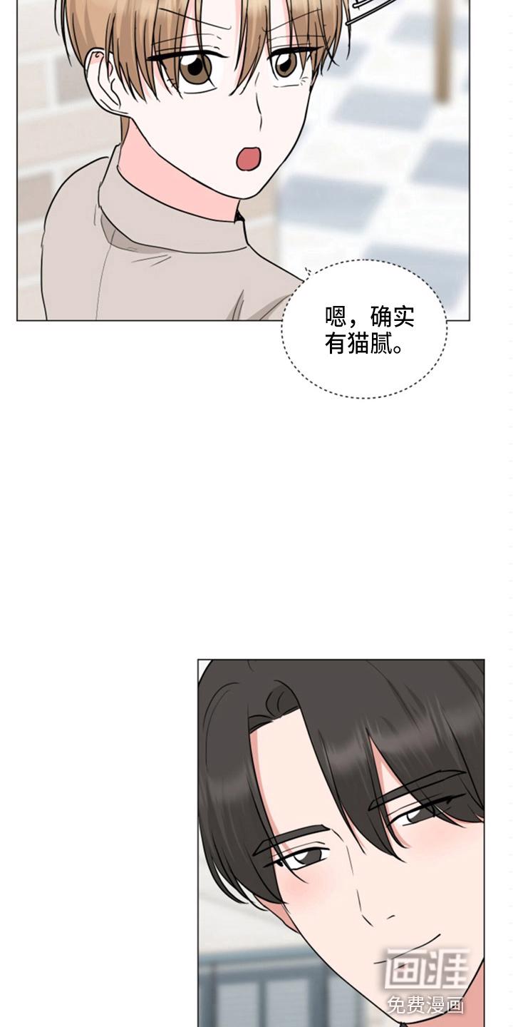 名侦探追捕大怪盗漫画书漫画,第84章：酒店2图