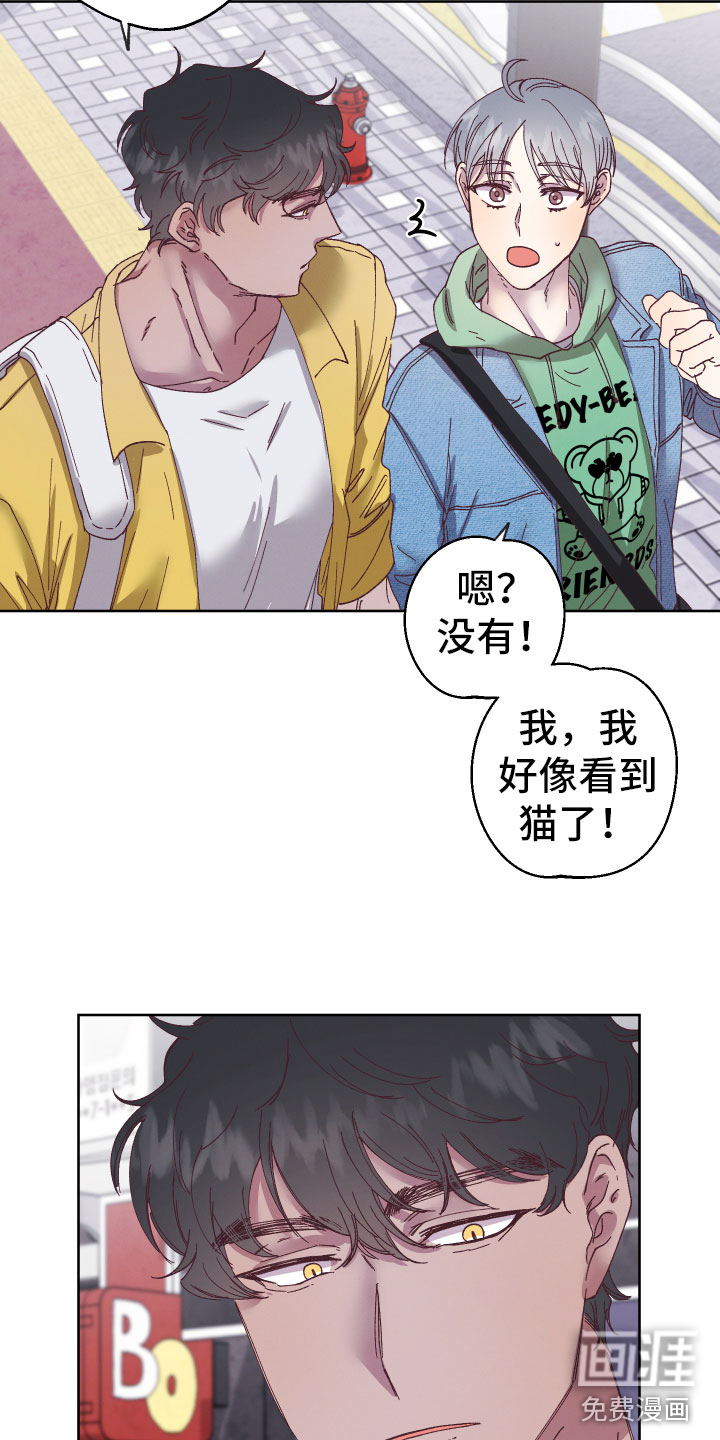 主刀医生漫画漫画,第114章：对峙6图