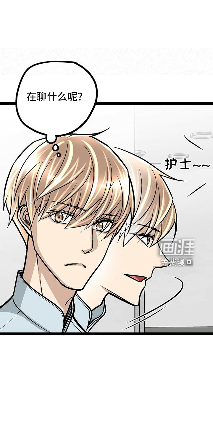 贴身护卫漫画漫画,第7话 你没有选择权9图