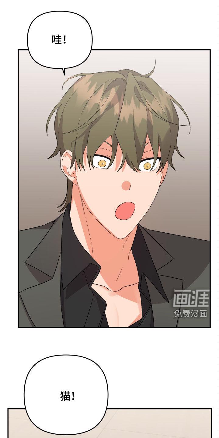 公寓奇遇记漫画漫画,第103章：【第二季】更擅长的3图