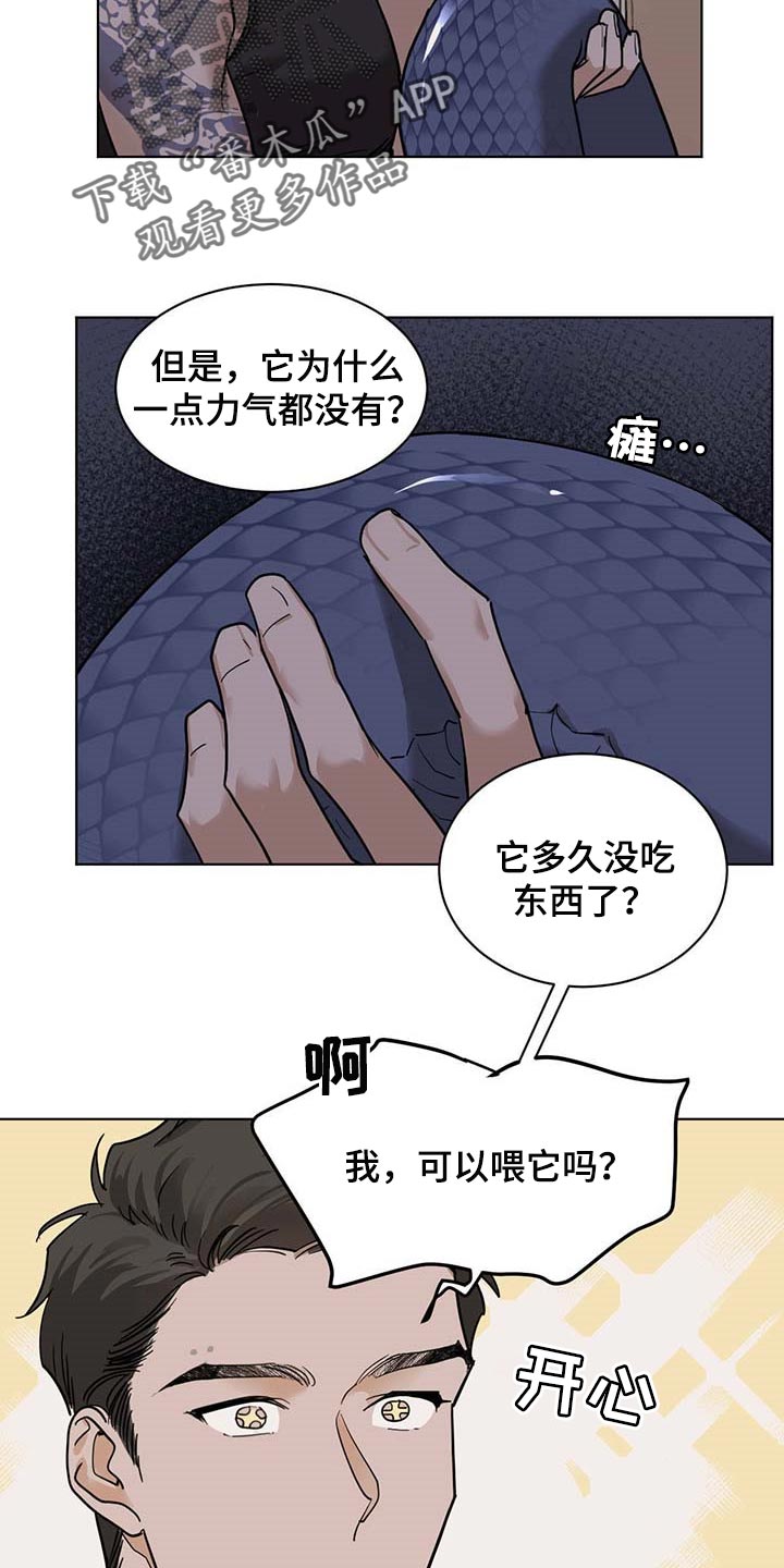 免费阅读假冒女婿漫画,第43章：生日6图