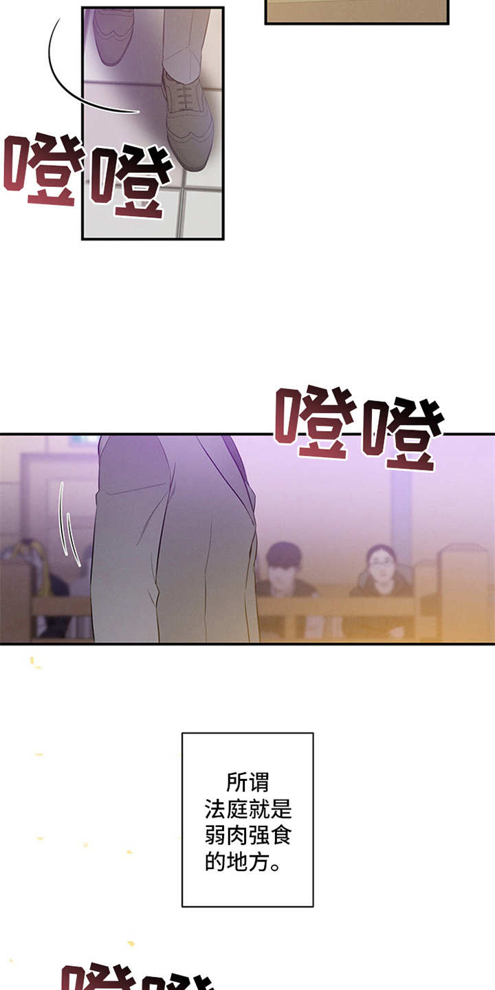 蝴蝶漫画app免费下载漫画,第1章：辩护律师2图