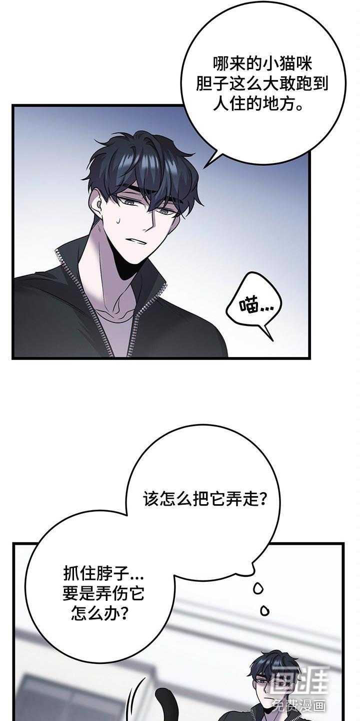 把她让给你漫画漫画,第26章：捎我一程9图