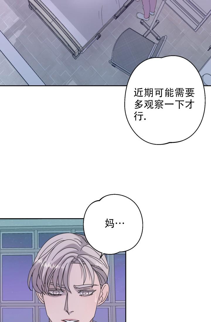 最可爱的暹罗猫漫画,第9话2图
