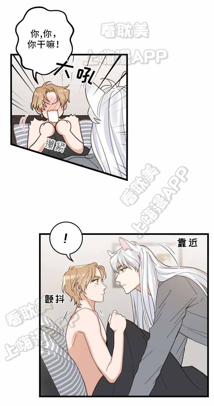 圣诞节的礼物漫画免费漫画,第23章：5图