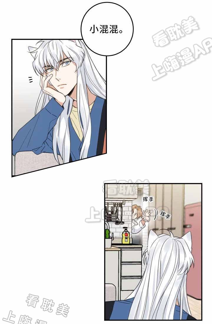 圣诞节的礼物漫画韩国漫画,第17章：5图