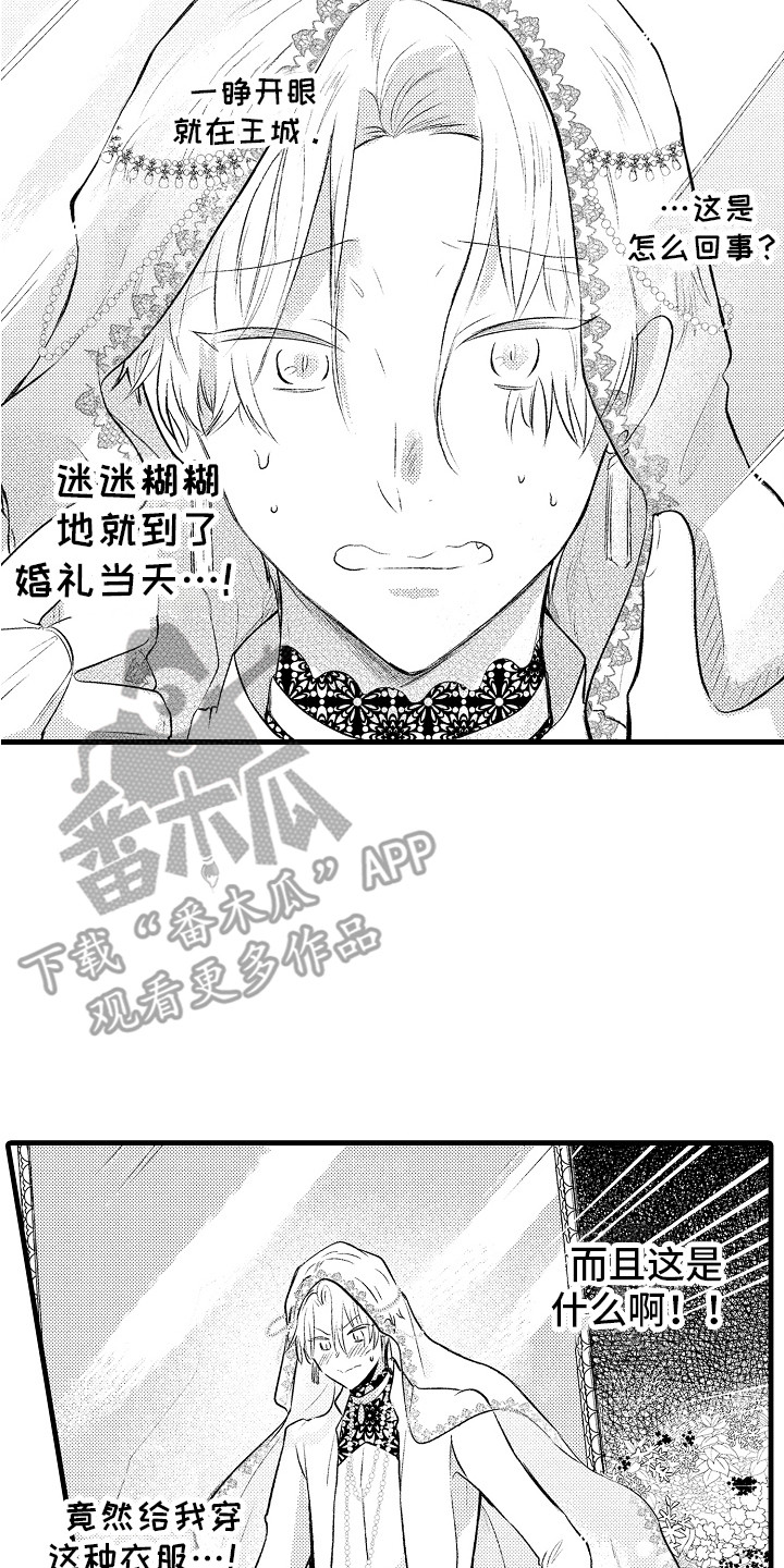 动画雨后漫画,第8章：三个花美男5图
