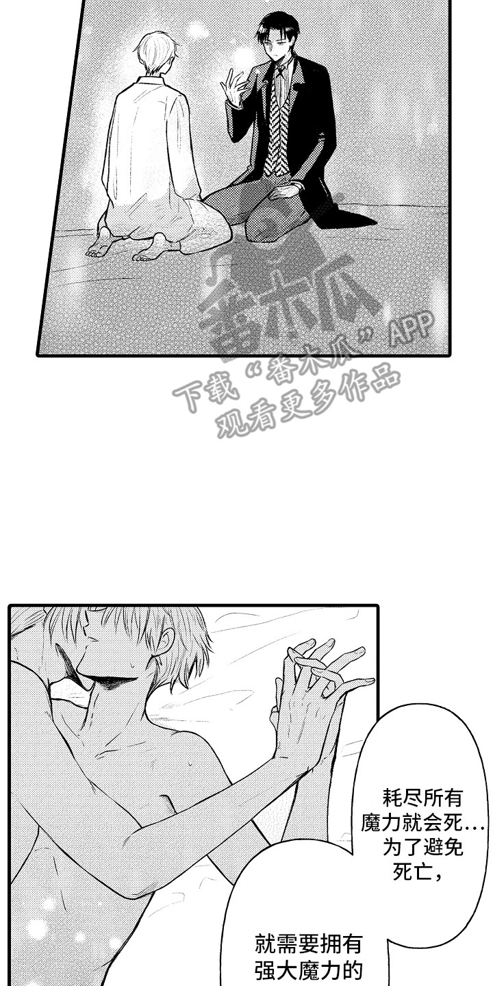 雨后动漫漫画,第10章：面试官5图