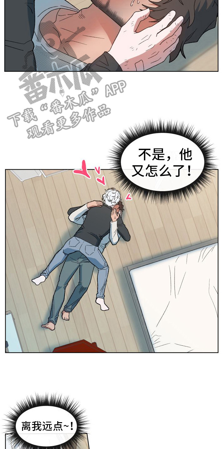 蜂蜜熊叫什么名字漫画,第12章：没法拒绝 2图