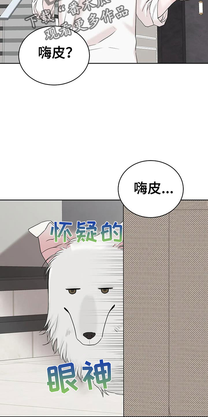 强行分离的剧情简介漫画,第37章：回来了1图