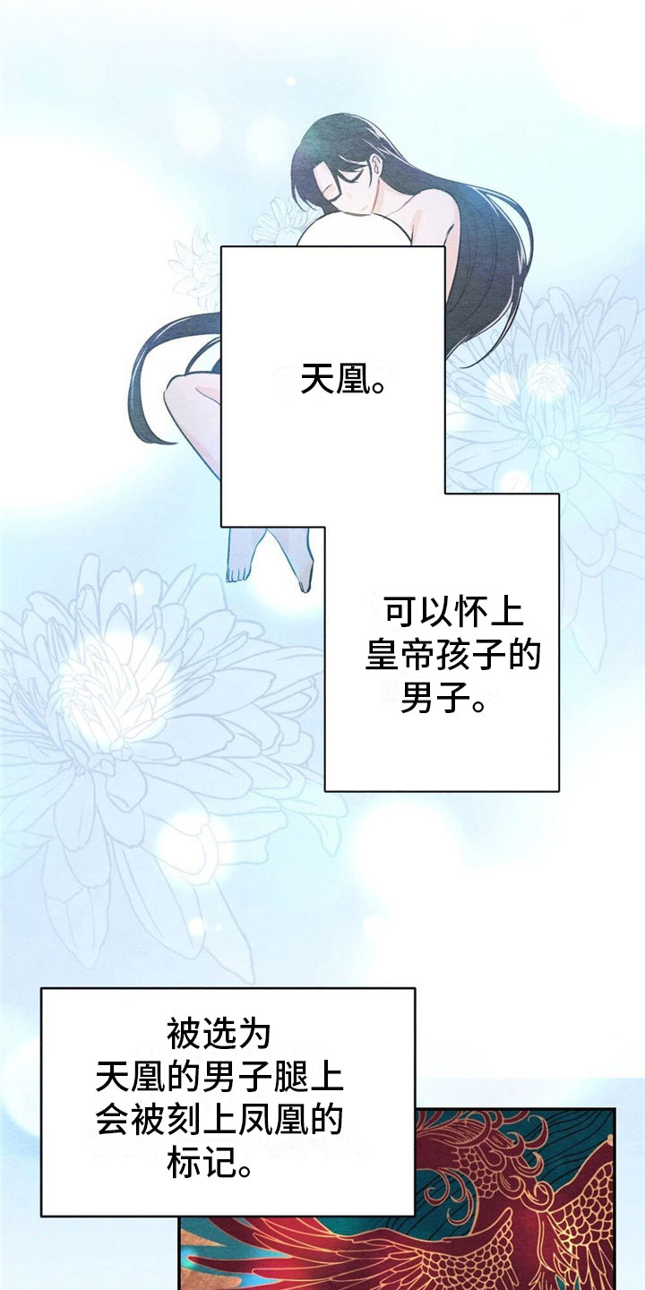 放课后的秘密漫画漫画,第2章：天凰1图