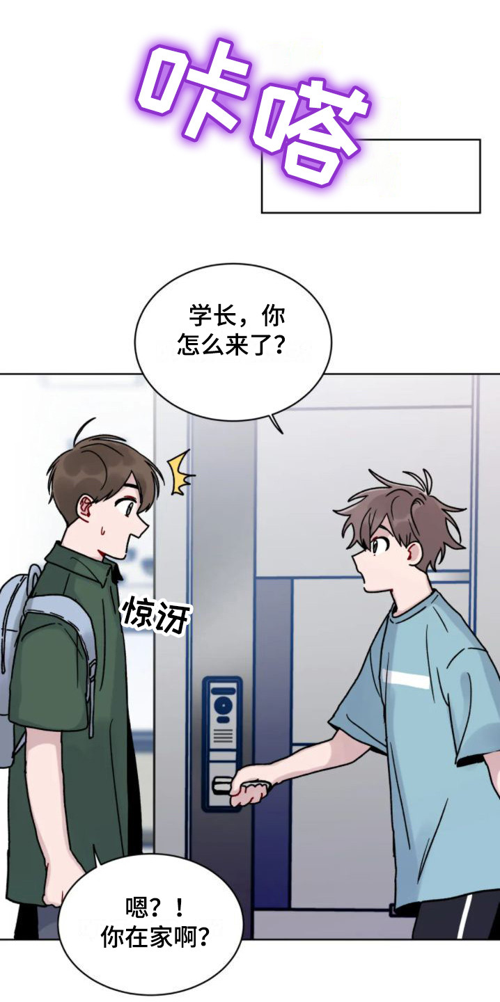 老实人漫画全集漫画,第116章：10图