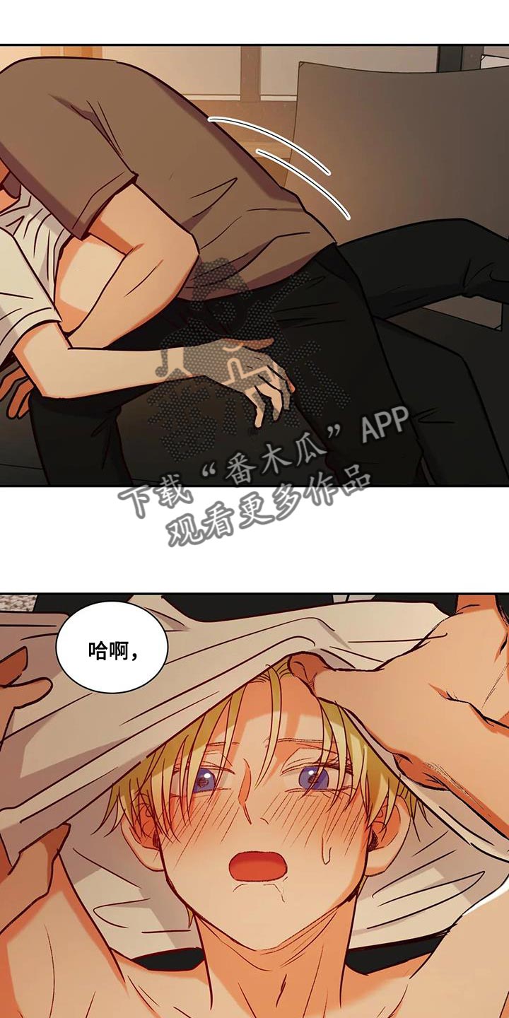 老实人漫画全集漫画,第148章：2图