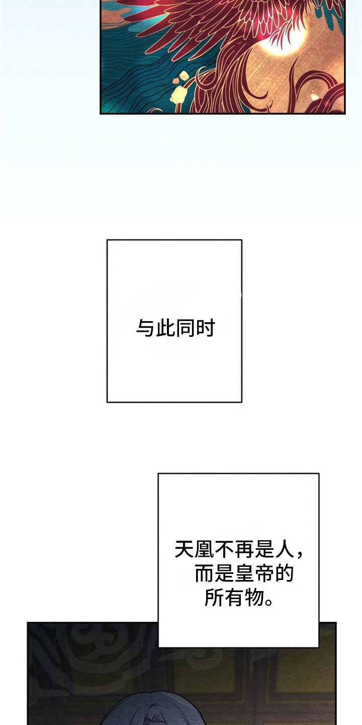 放课后的秘密漫画漫画,第2章：天凰2图