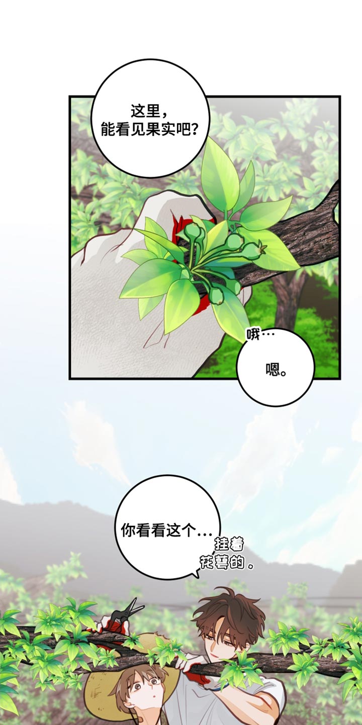 穿越漫画解说漫画,第98章：2图