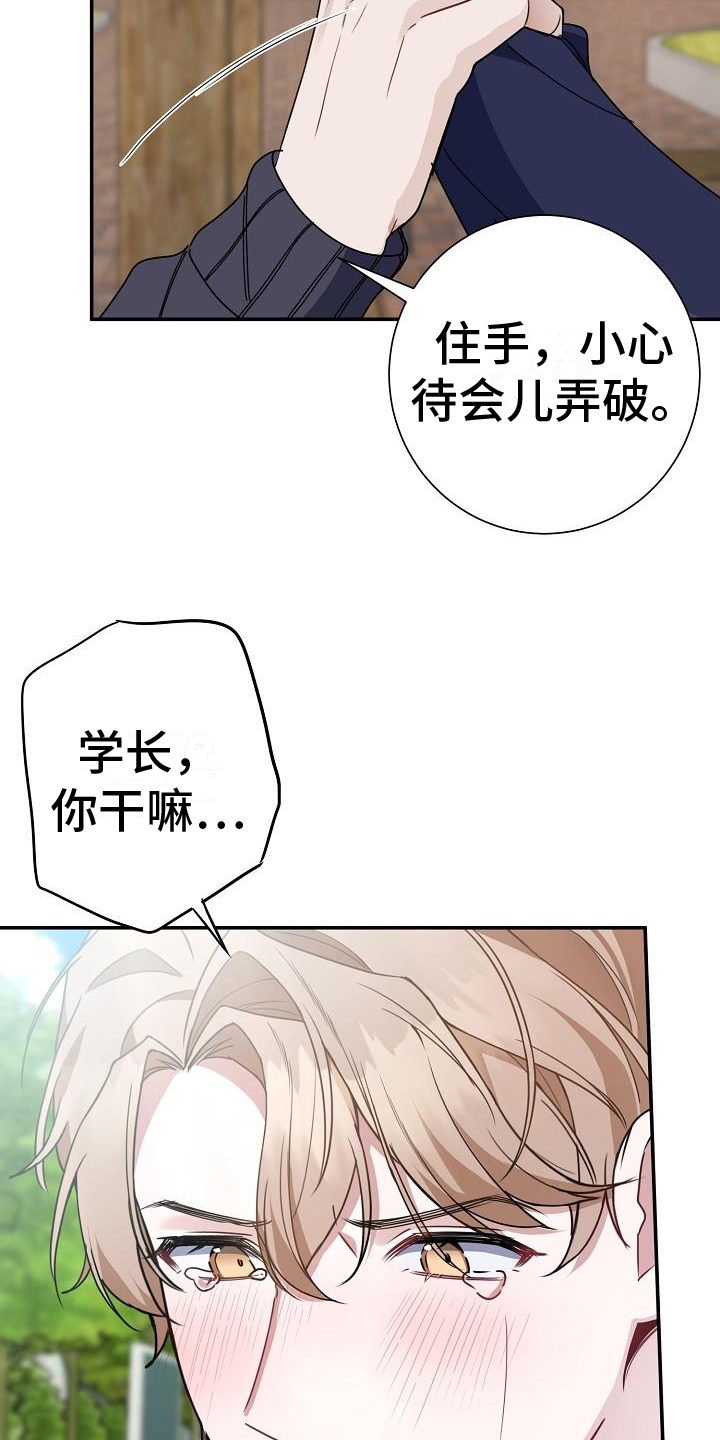 老实人漫画全集漫画,第27章：5图