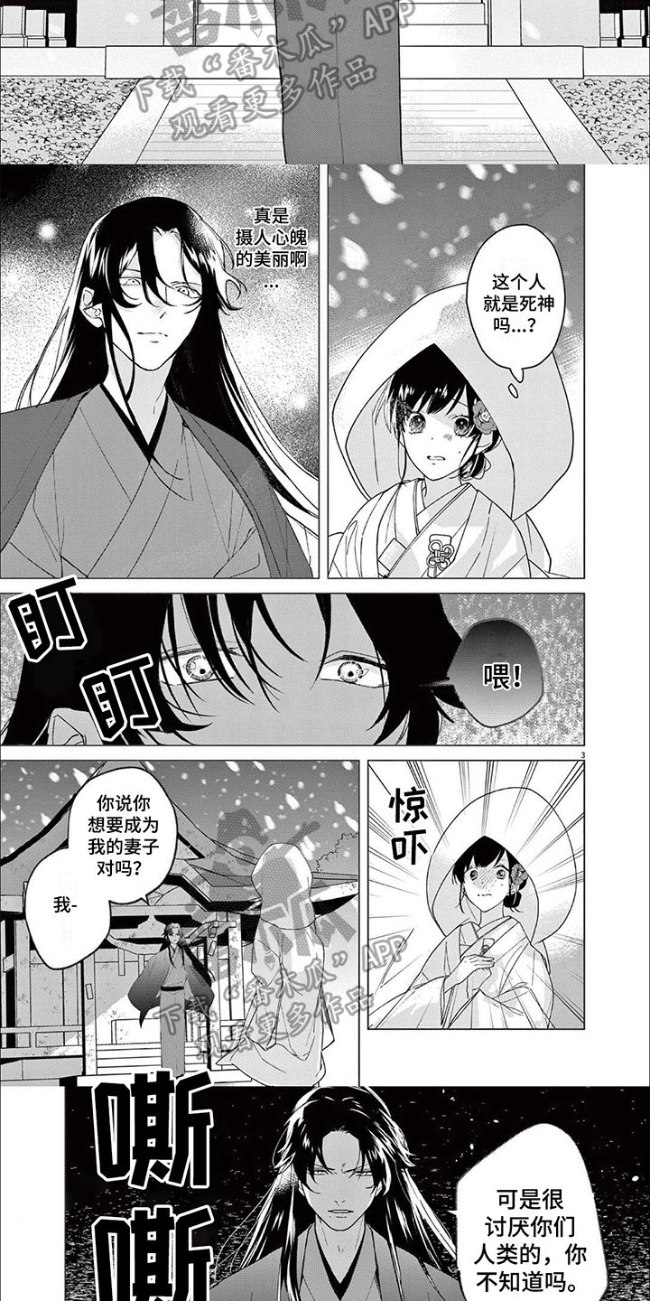 饲养计划漫画漫画,第7章：带走2图