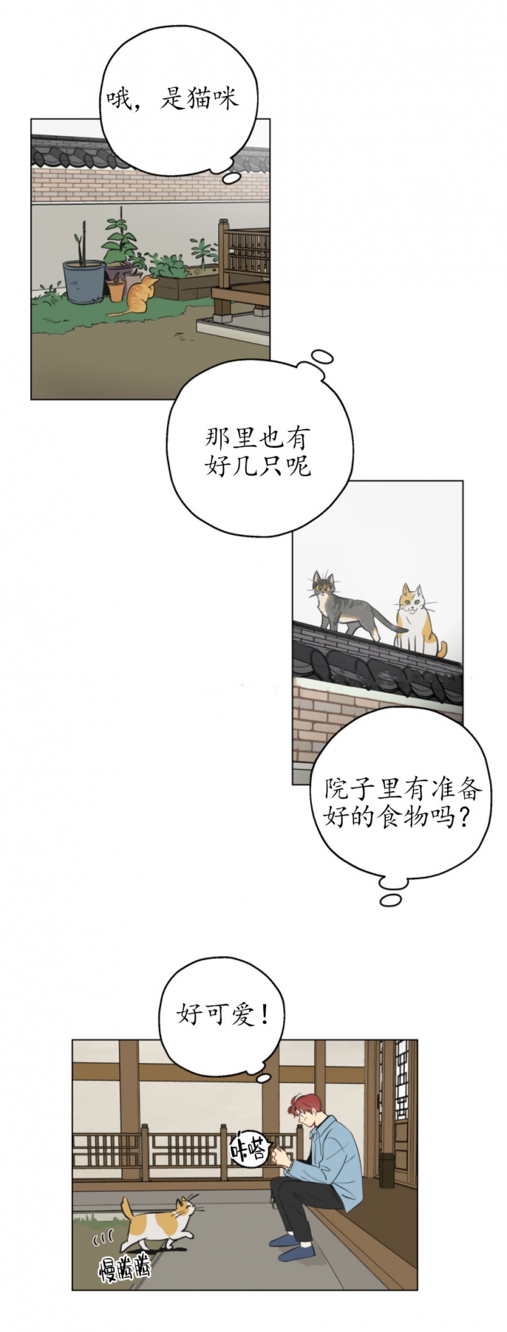 虎与卯兔漫画漫画,第32章：下个计划9图