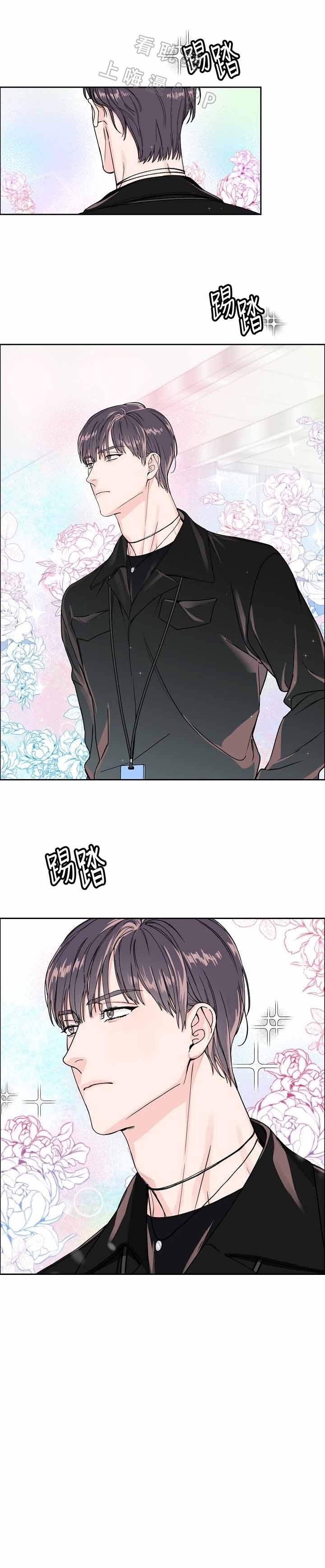 虎与蛮兔漫画漫画,第28章：赶尽杀绝9图