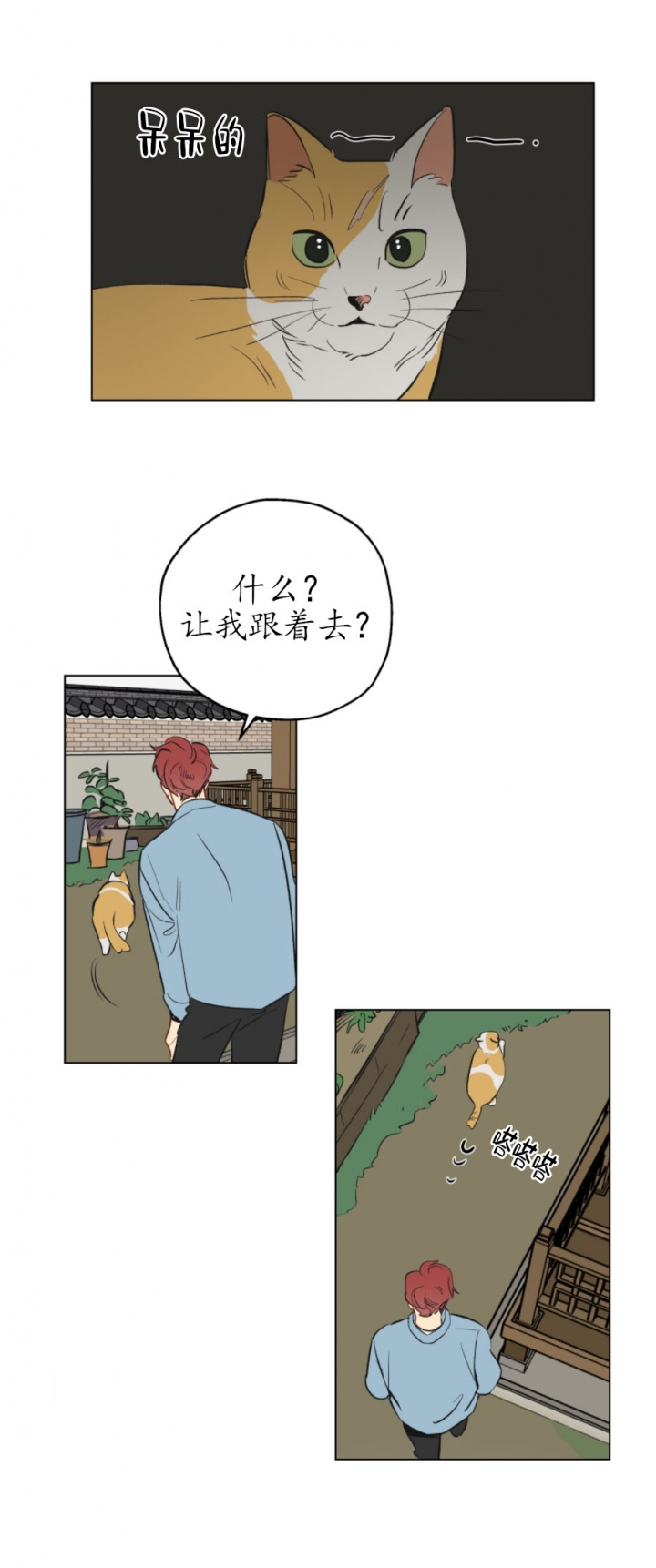 虎与蛮兔漫画漫画,第49章：守护和平9图