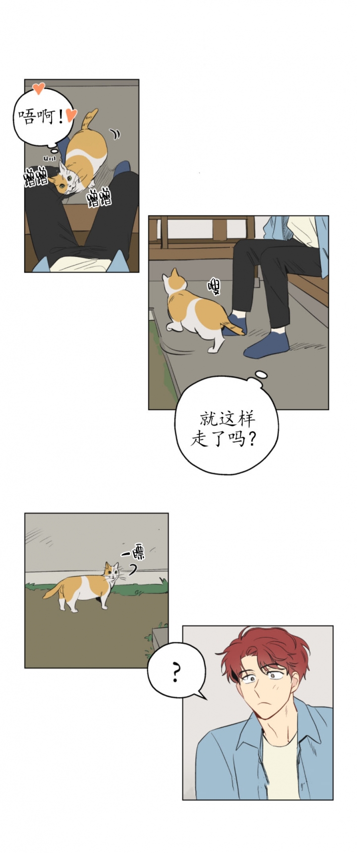 虎与羊漫画漫画,第44章：实施计划9图