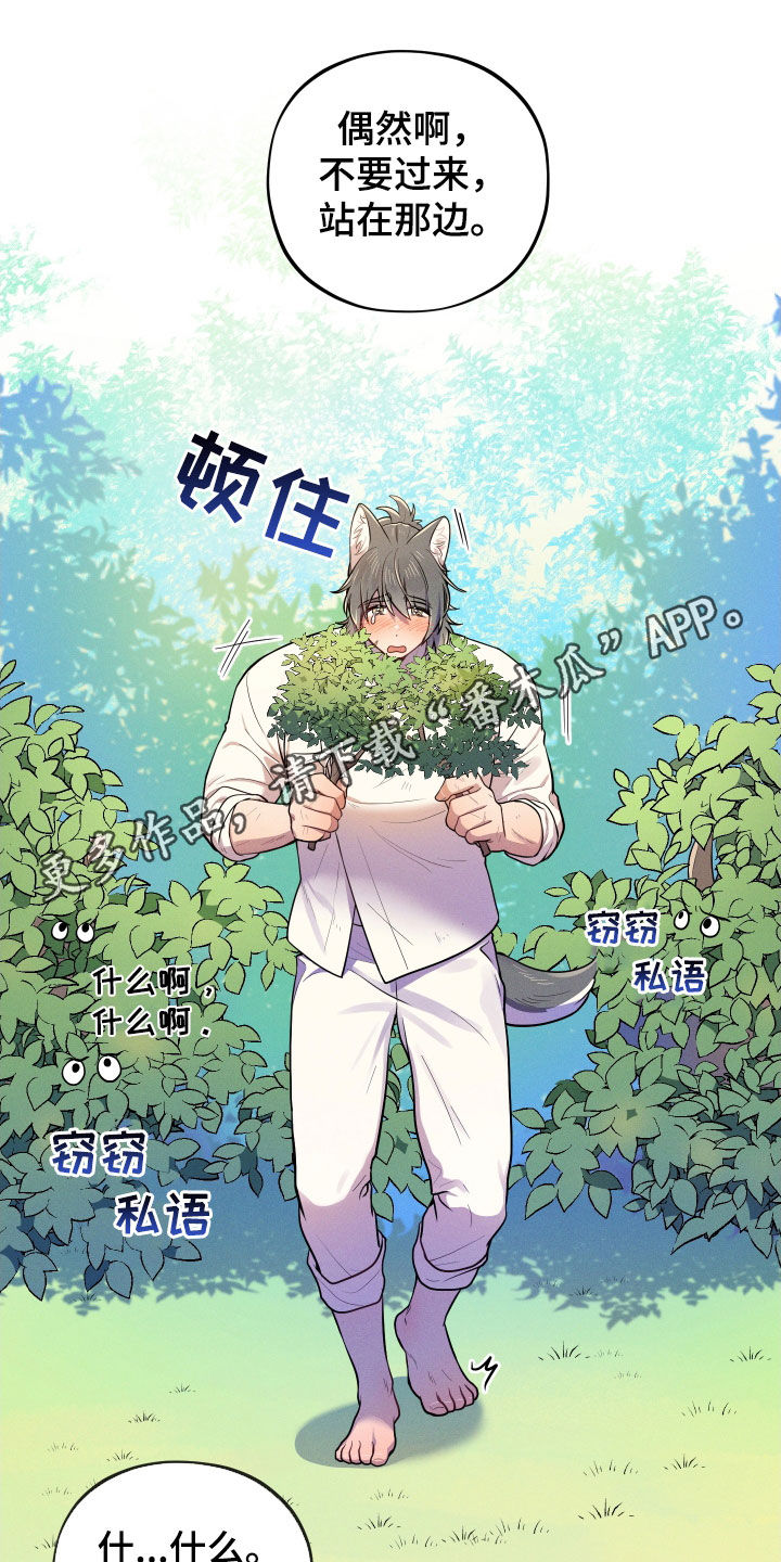 永恒的牢笼360漫画漫画,第35章：回来了4图