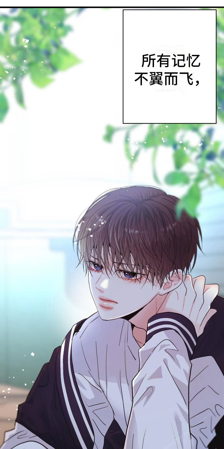流星漫画图片漫画,第1章：他很美3图