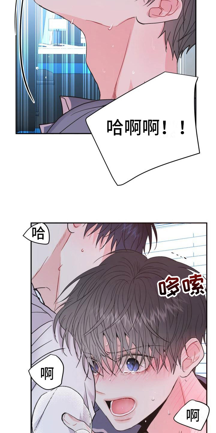 流星的误会漫画免费观看漫画,第10章：尝鲜2图