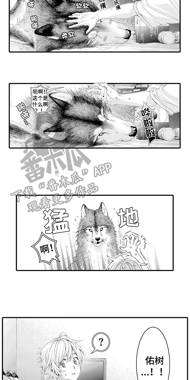 百货店购物漫画漫画,第29章：解释1图