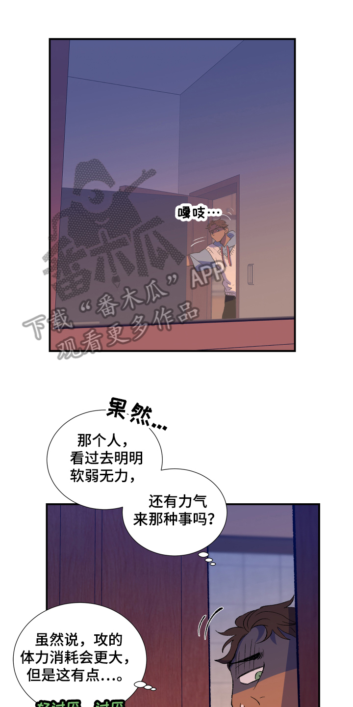 争宠精灵使漫画漫画,第73章：再也回不去4图