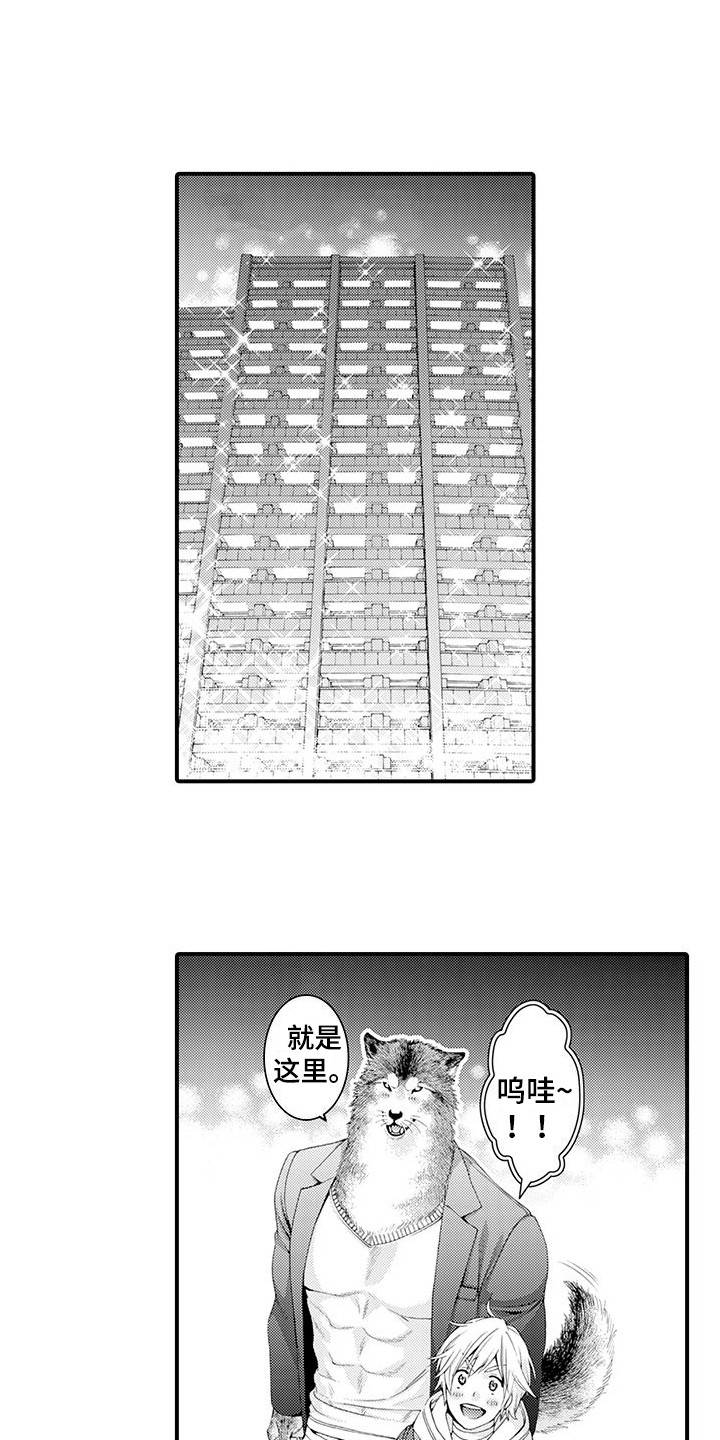 桃花百货店漫画漫画,第18章：宽敞的房间1图