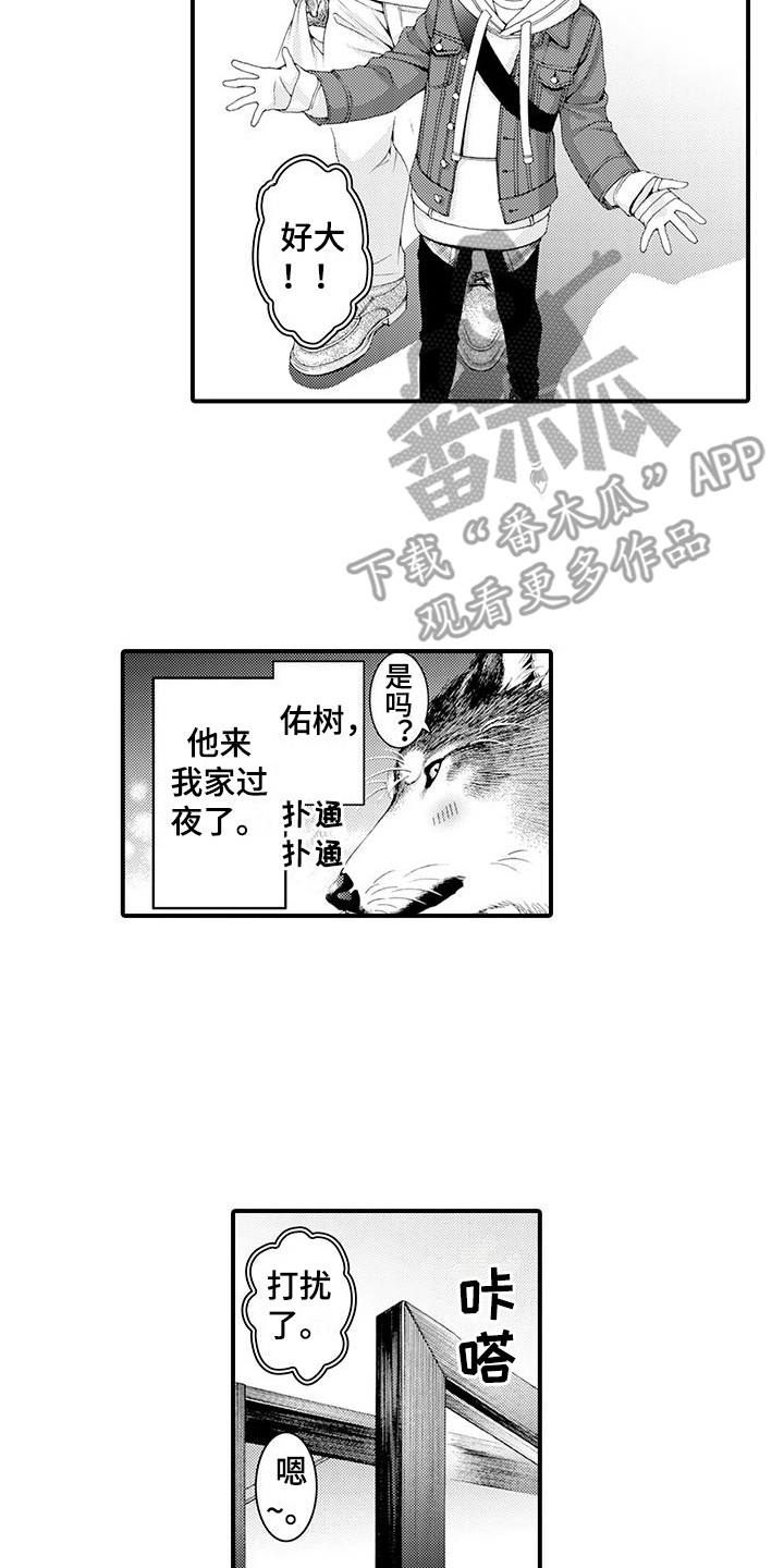 桃花百货店漫画漫画,第18章：宽敞的房间2图