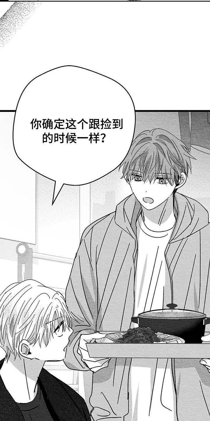 迷离卷宗漫画漫画,第28章：变数2图